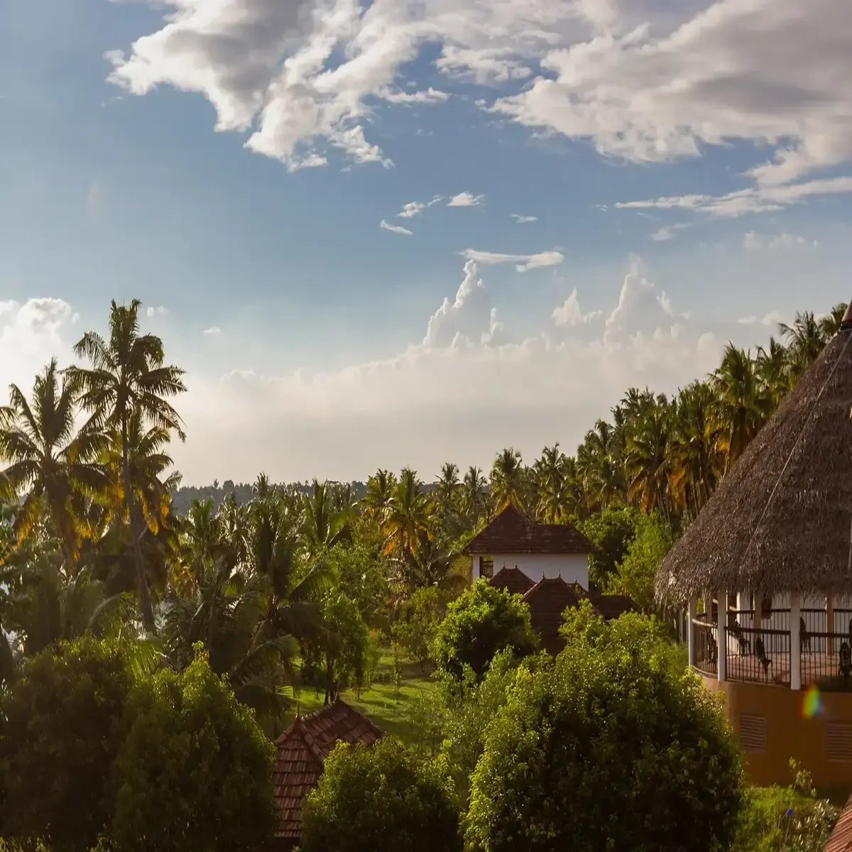 Kalari Rasayana